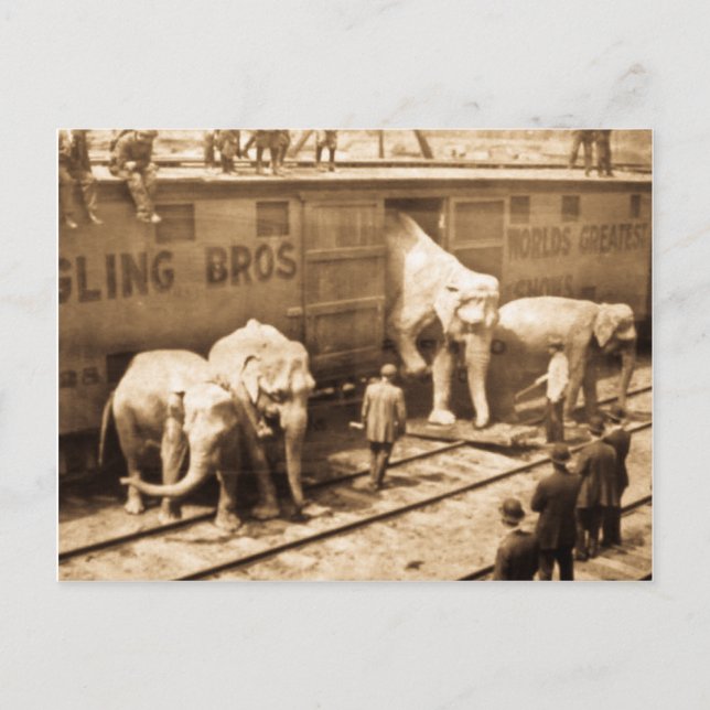 Magic Lantern Slide Ringling Bros Elephant Train Postkarte (Vorderseite)