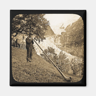 Magic Lantern Slide Schweizer Alpen Hornblume Magnet