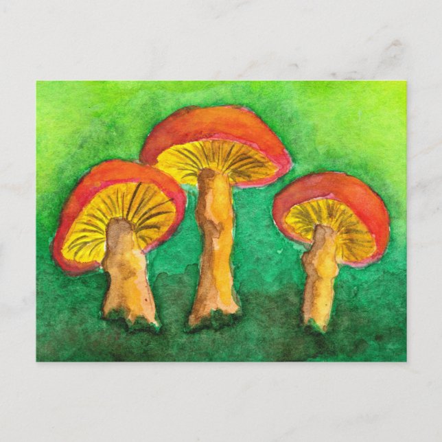 Magic Mushroom Trio Postkarte (Vorderseite)