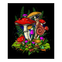 Magic Mushrooms Fungi
