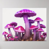 Magic Mushrooms