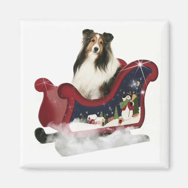 Magic Sleigh Sheltie Magnet (Vorne)
