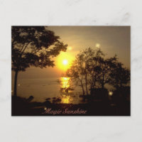 Magic Sunshine Postcard