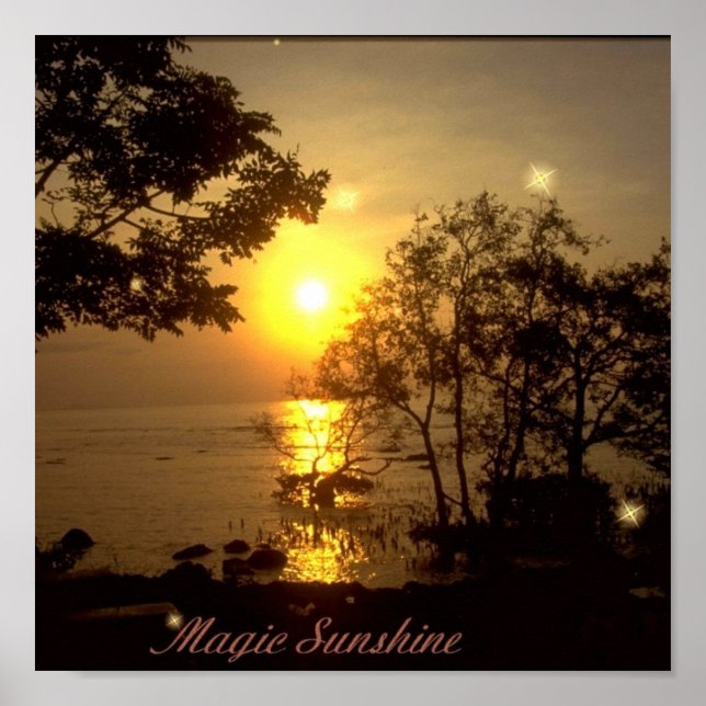 Magic Sunshine Poster (Vorne)