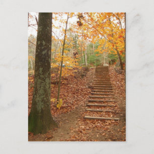 Magic Wood Stairs Postkarte