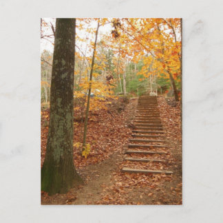 Magic Wood Stairs Postkarte