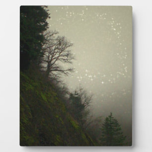 Magical Mist Forest Hill Fotoplatte