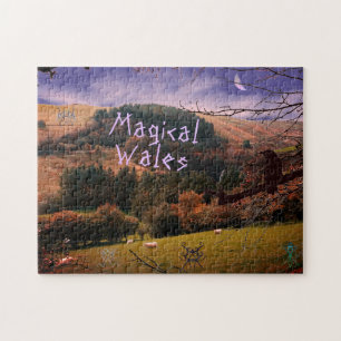 Magical Wales Pennant Valley Mystery Symbol Raven Puzzle