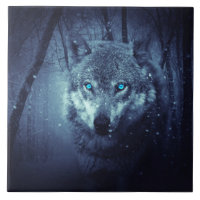 Magical Wild Wolf mit Phantastischen blauen Augen