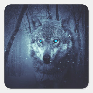 Magical Wild Wolf mit Phantastischen blauen Augen Quadratischer Aufkleber