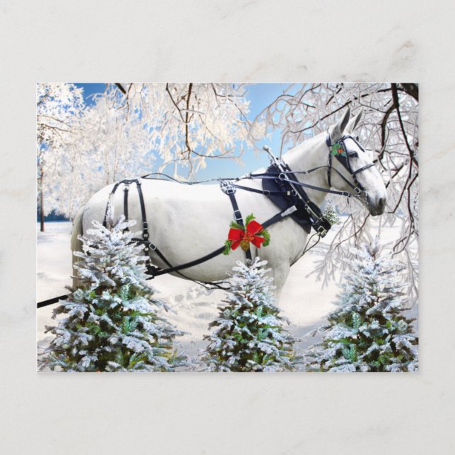 "Magie in Harness" Postkarte (Vorderseite)