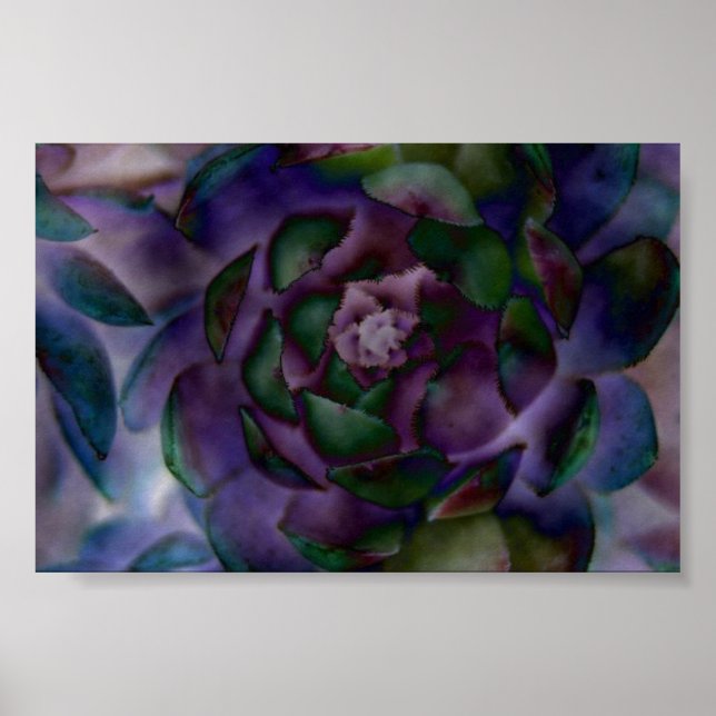 magisch poster (Vorne)