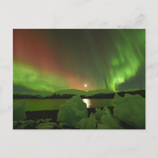 Magische Aurora Postkarte (Vorderseite)