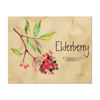 Magische Blume Elderberry 16.14'' x 12.86'' Canva