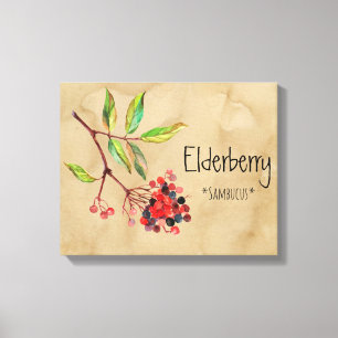 Magische Blume Elderberry 16.14'' x 12.86'' Canva Leinwanddruck