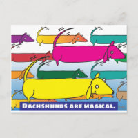 Magische Dackeln