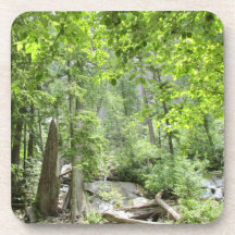 Magische grüne Waldszene.