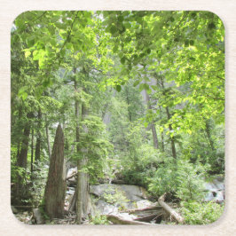 Magische grüne Waldszene. Rechteckiger Pappuntersetzer