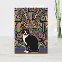 Magische Katze