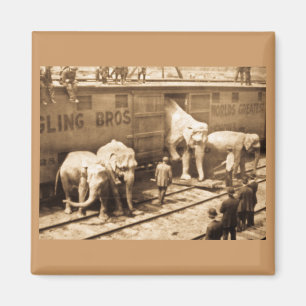 Magische Laternen-Dia Ringling Bros Elefant-Zug Magnet