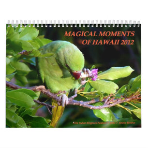 Magische Momente von Hawaii 2012 Kalender