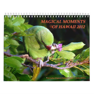 Magische Momente von Hawaii 2012 Kalender