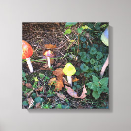 Magische Mushroom Garden Fotografisch Canvas Print Leinwanddruck