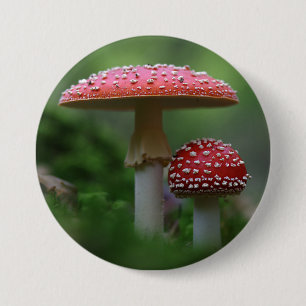 Magische Pilze Button