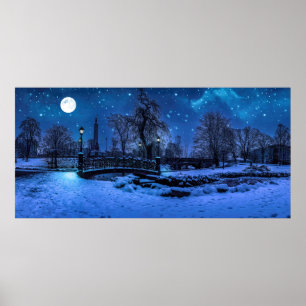 Magische Winternacht mit Sternenhimmel und Vollmon Poster