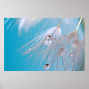 Magischer Löwenzahn Poster