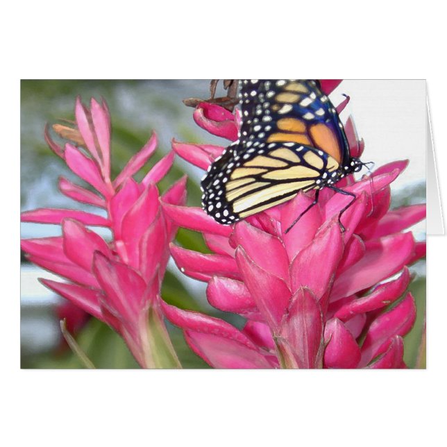 Magischer Monarch (Vorderseite (Horizontal))