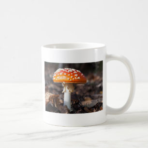 Magischer Pilz Tasse