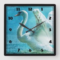 Magischer Schwan während einer Sommer-Dusche