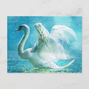 Magischer Schwan während einer Sommerdusche Postkarte