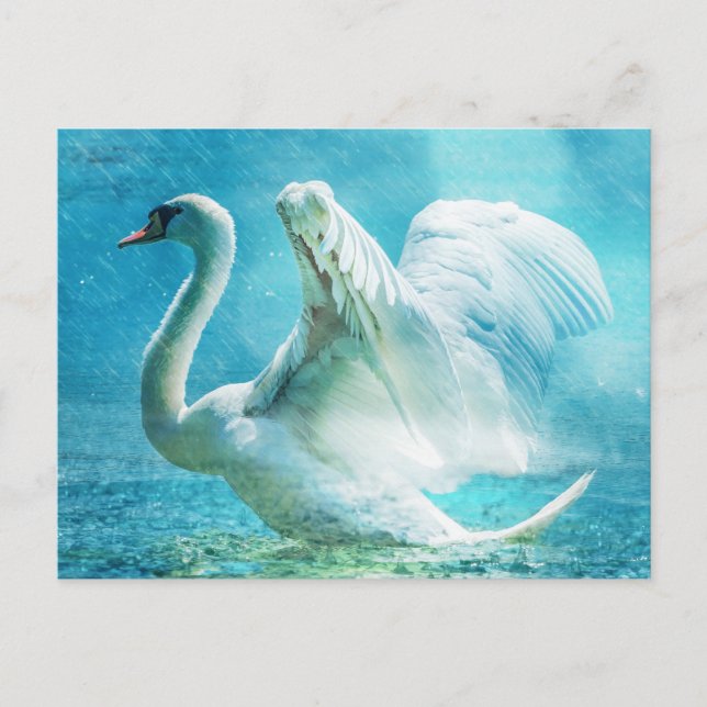 Magischer Schwan während einer Sommerdusche Postkarte (Vorderseite)