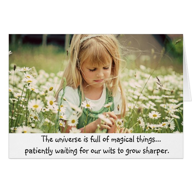 Magischer Sommer (Vorderseite (Horizontal))