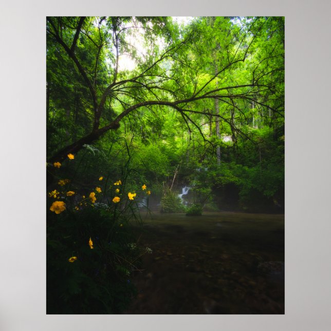 Magischer Wald mit gelben Blumen und Wasserfall Poster (Vorne)