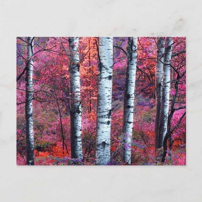 Magischer Wald Postkarte (Vorderseite)