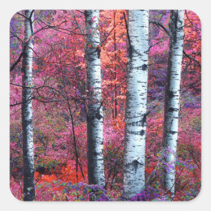 Magischer Wald Quadratischer Aufkleber