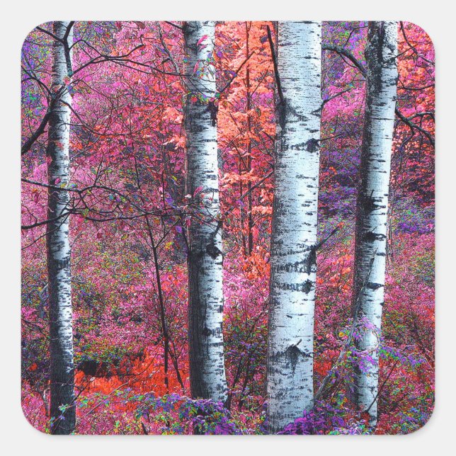 Magischer Wald Quadratischer Aufkleber (Vorderseite)