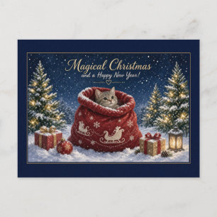 Magisches Weihnachtskitten im Santa-Sack Postkarte