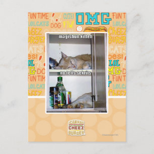 Magishun Kitteh Postkarte