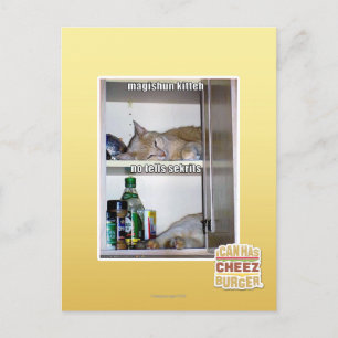 Magishun Kitteh Postkarte