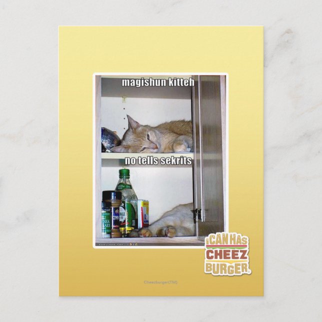 Magishun Kitteh Postkarte (Vorderseite)