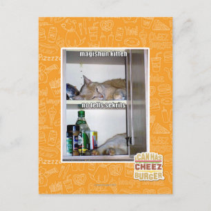 Magishun Kitteh Postkarte