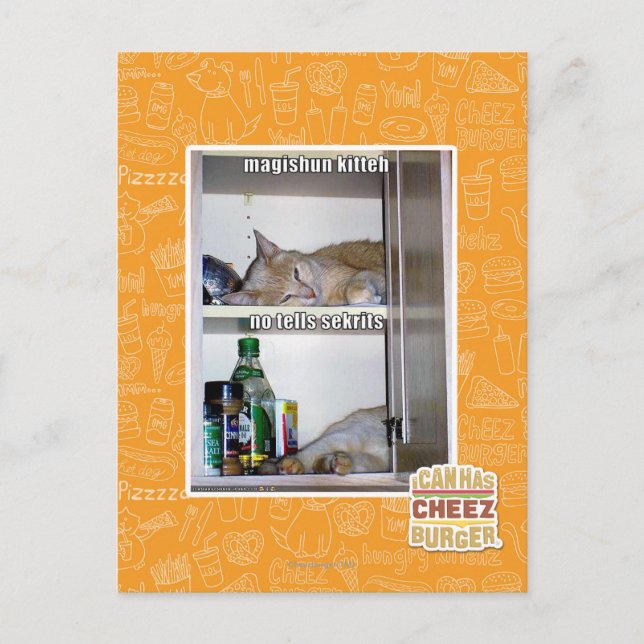 Magishun Kitteh Postkarte (Vorderseite)