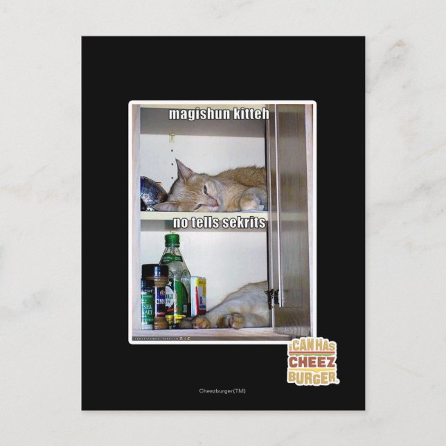Magishun Kitteh Postkarte (Vorderseite)