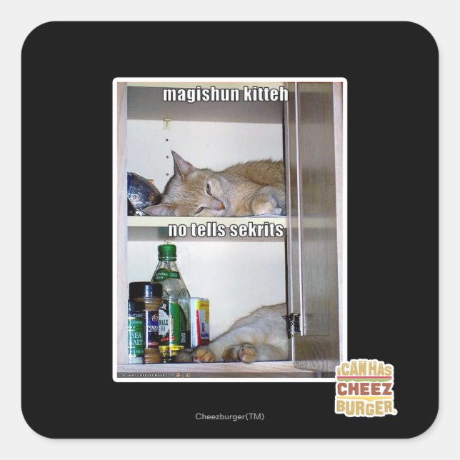 Magishun Kitteh Quadratischer Aufkleber (Vorderseite)