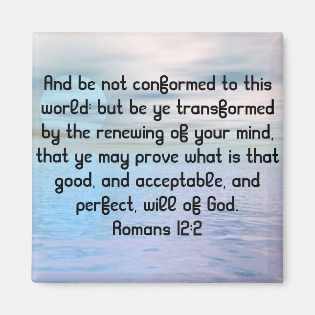 Magnate Magnet (Vorne)