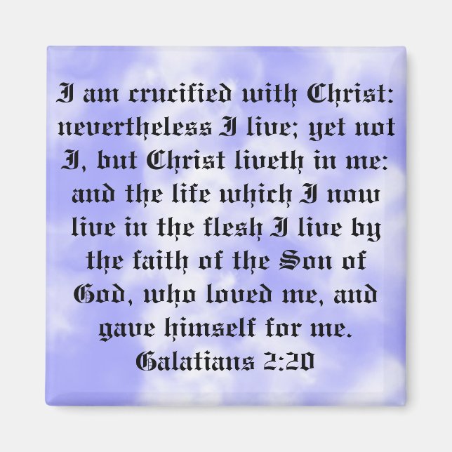 Magnate Magnet (Vorne)